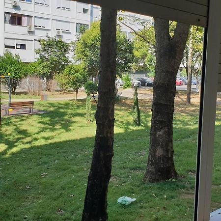 Yellow Apartment, Central Podgorica Zewnętrze zdjęcie